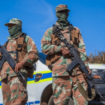 Afrique du sud