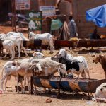 Tabaski bamako
