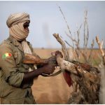 Mali Al qaïda