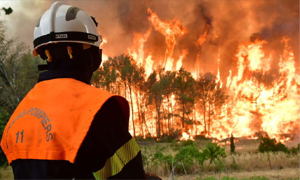 Fontainebleau