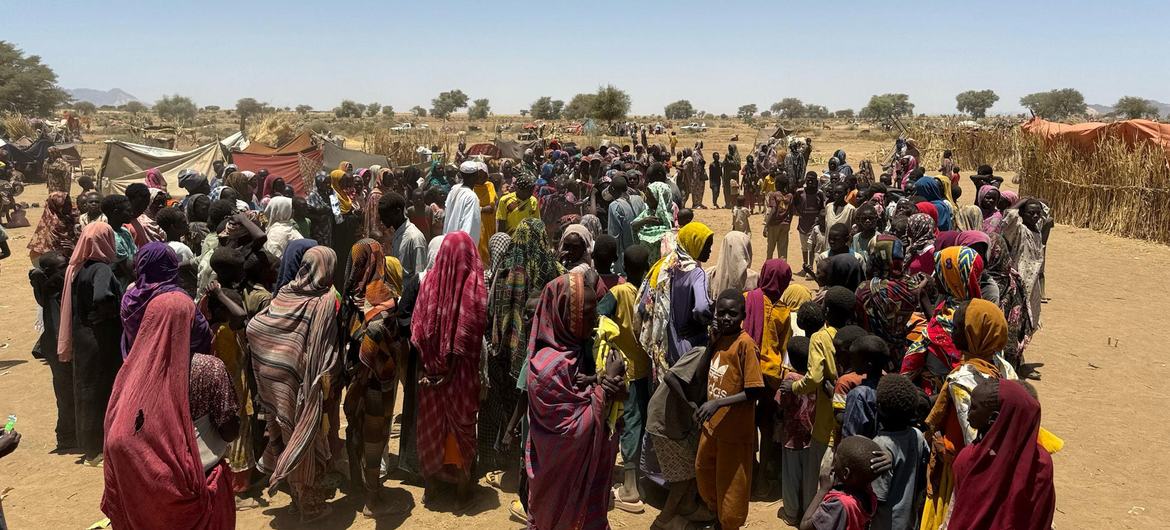 Soudan : l’escalade des combats prive des milliers d’enfants de protection au Kordofan du Nord