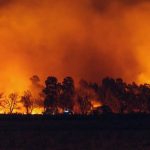 Tunisie : plus de 900 incendies attisés par la canicule
