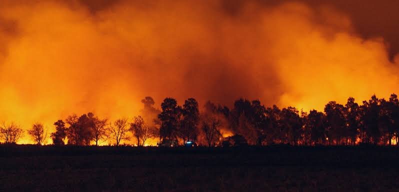 Tunisie : plus de 900 incendies attisés par la canicule