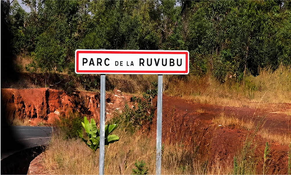 Parc Ruvubu